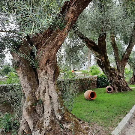 Farm stay Quinta De Castelhao *