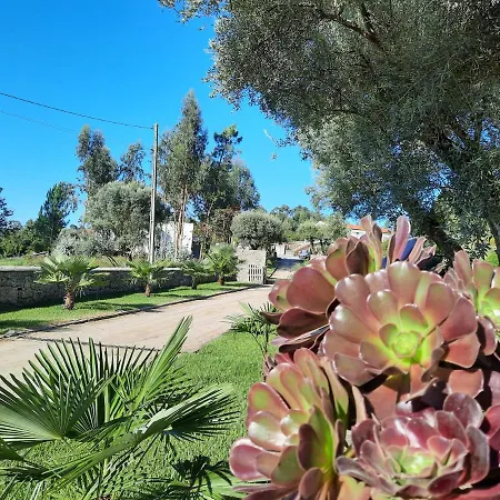 Quinta De Castelhao Farm stay *