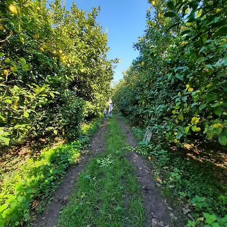Farm stay Quinta De Castelhao Barcelos