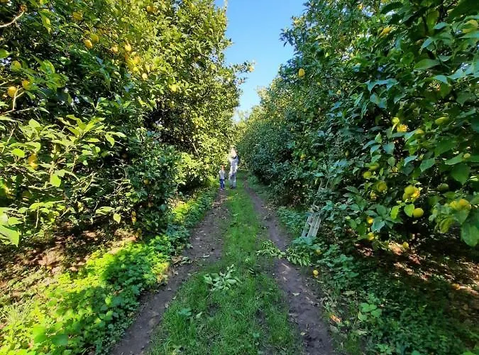 Farm stay Quinta De Castelhao Barcelos